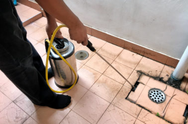 odeurs de canalisation